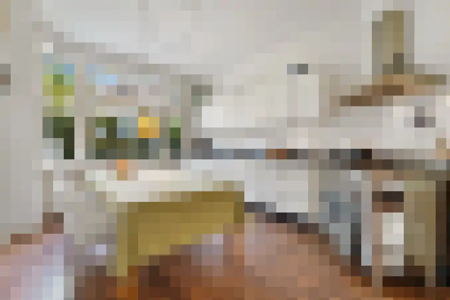 Botaniestraat 26 Delft thumbnail 15