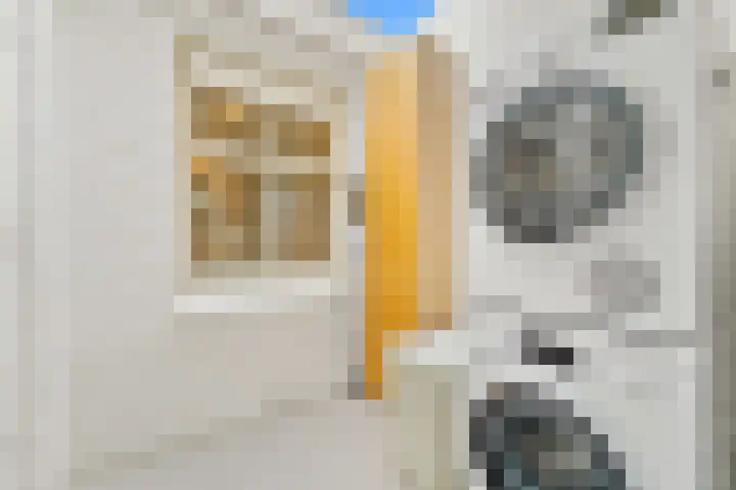 Botaniestraat 26 Delft thumbnail 22