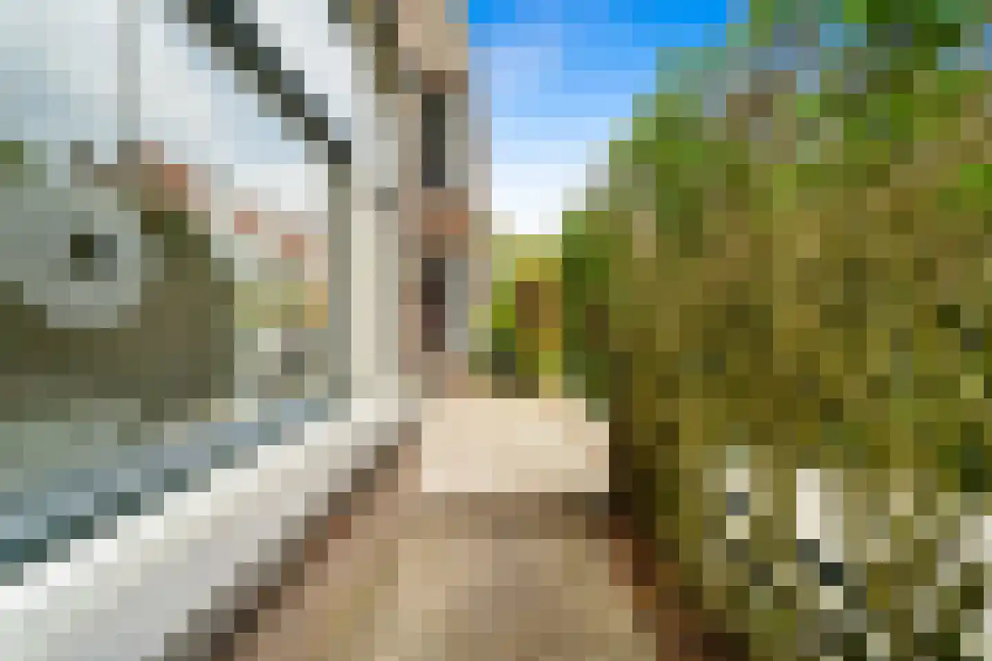 Botaniestraat 26 Delft thumbnail 37