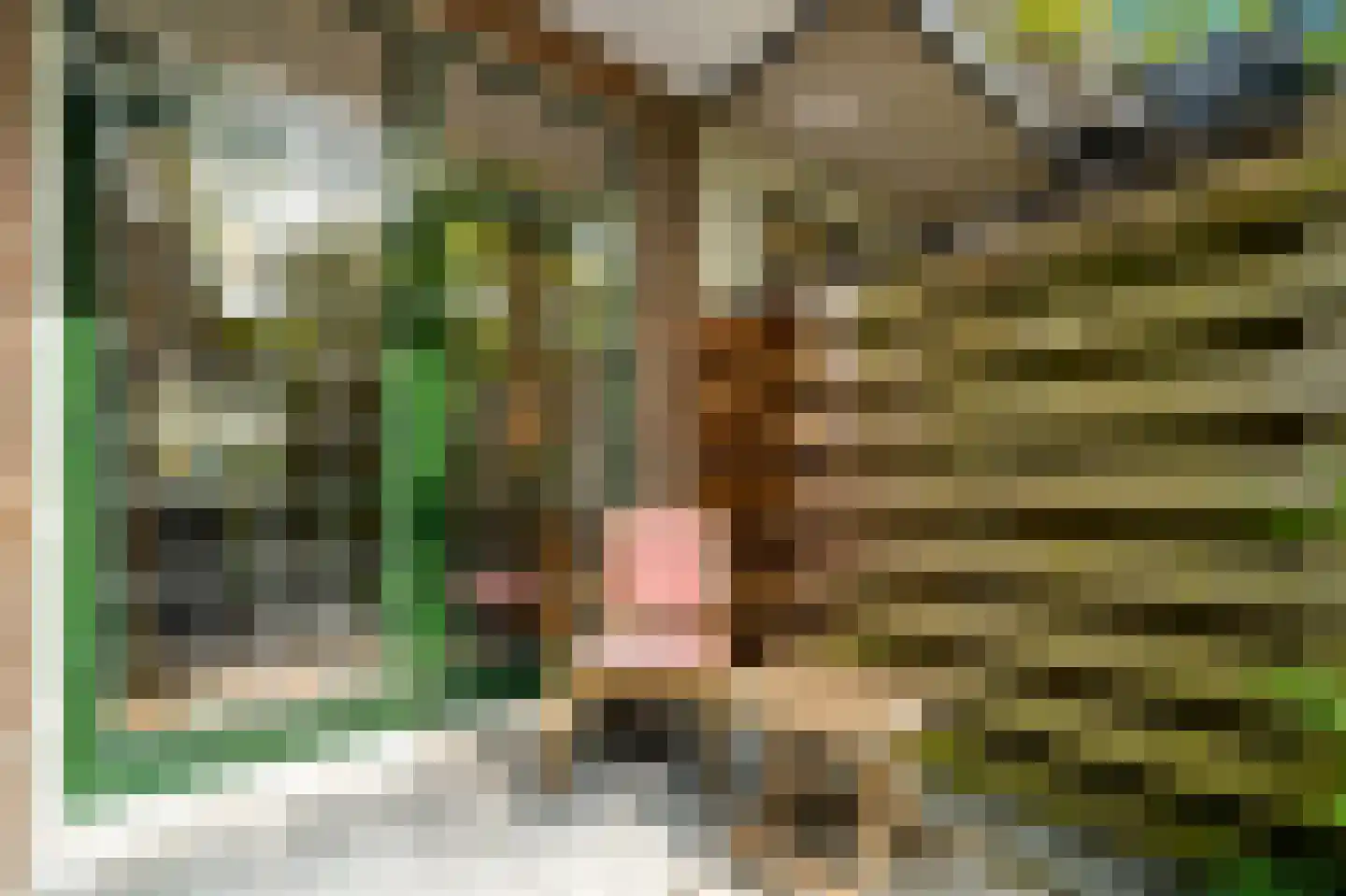 Botaniestraat 26 Delft thumbnail 8