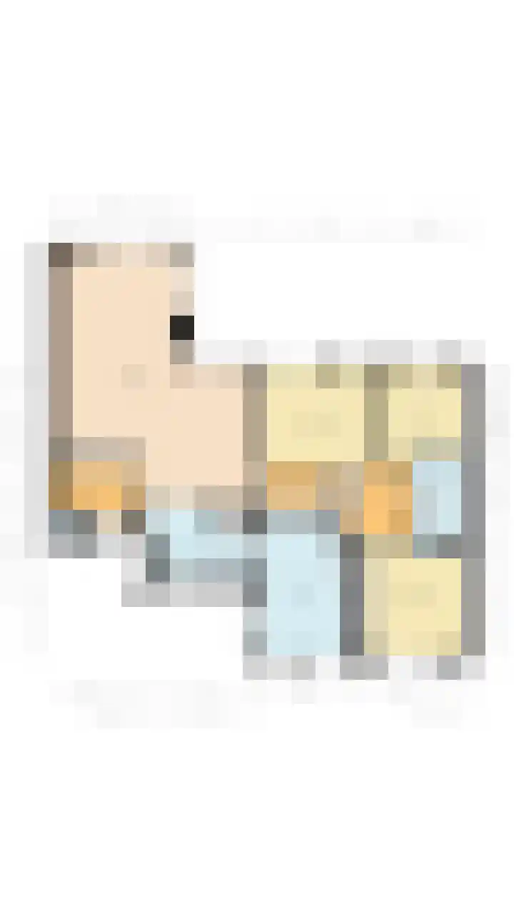 Botdrager 9 Mijdrecht thumbnail 30