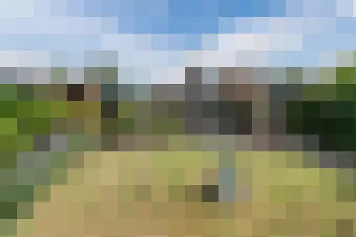 Botdrager 9 Mijdrecht thumbnail 32