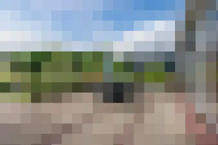 Botdrager 9 Mijdrecht thumbnail 33