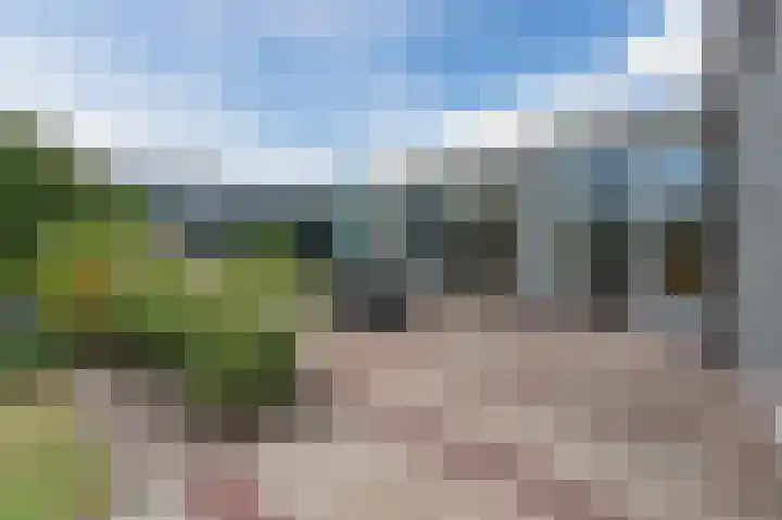 Botdrager 9 Mijdrecht thumbnail 35