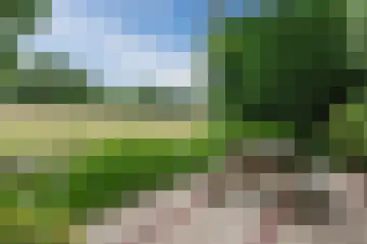 Botdrager 9 Mijdrecht thumbnail 36