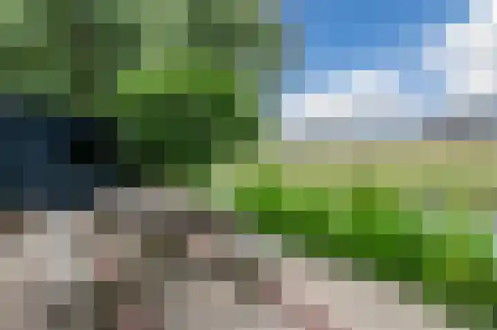 Botdrager 9 Mijdrecht thumbnail 37