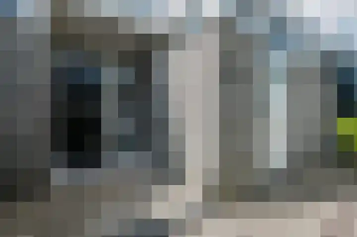 Botdrager 9 Mijdrecht thumbnail 38