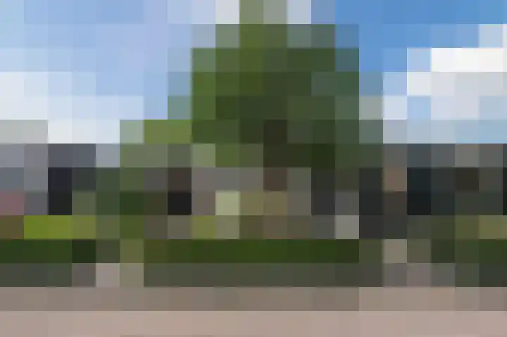 Botdrager 9 Mijdrecht thumbnail 39