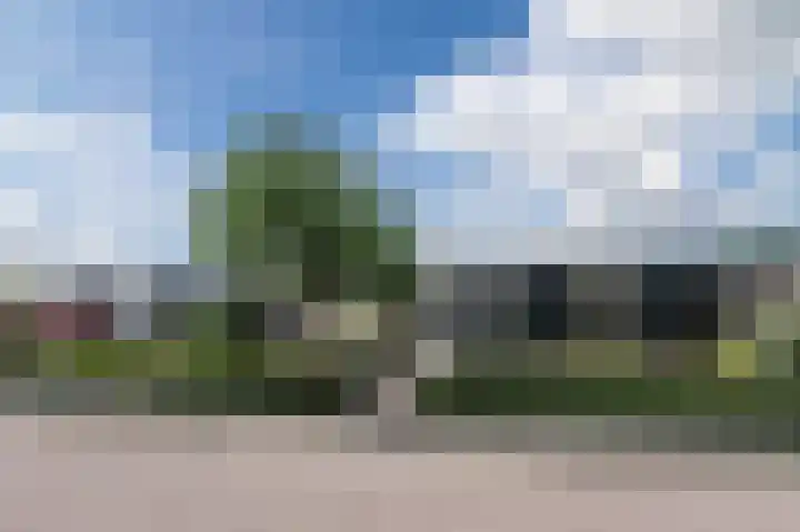 Botdrager 9 Mijdrecht thumbnail 40
