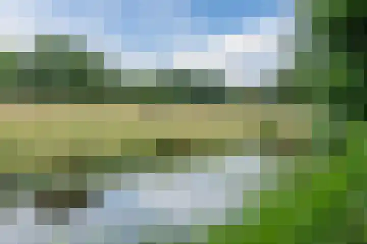 Botdrager 9 Mijdrecht thumbnail 41