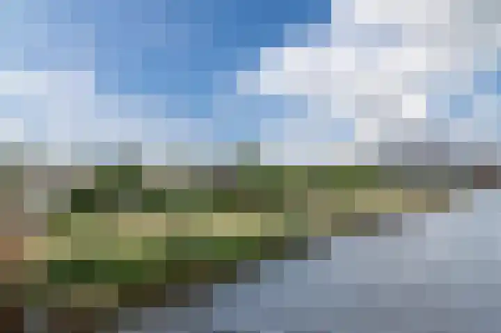 Botdrager 9 Mijdrecht thumbnail 42