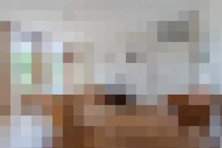 Botdrager 9 Mijdrecht thumbnail 8