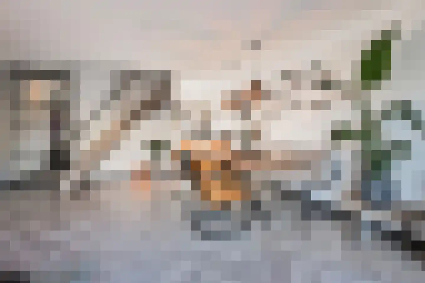Botdragerstraat 13 Delfgauw thumbnail 12