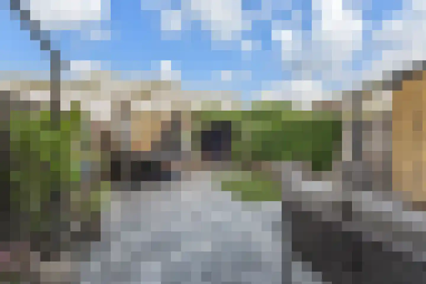 Botdragerstraat 13 Delfgauw thumbnail 16