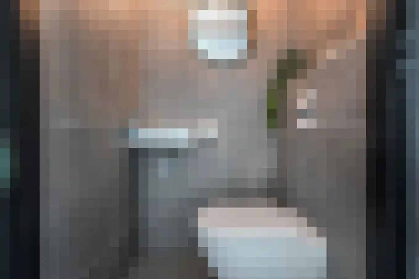 Botdragerstraat 13 Delfgauw thumbnail 18