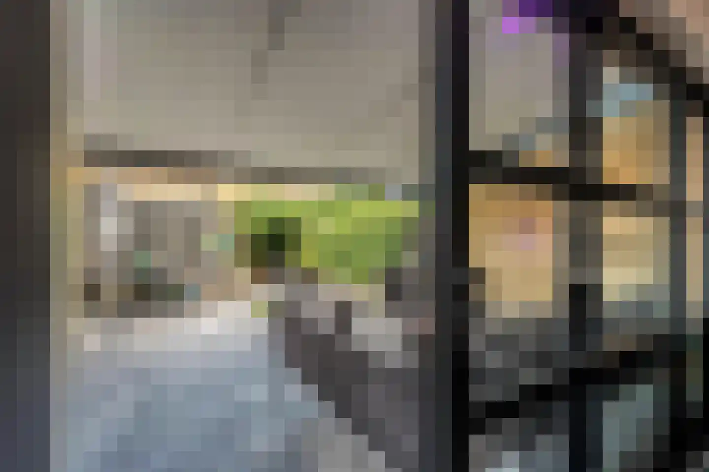 Botdragerstraat 13 Delfgauw thumbnail 18
