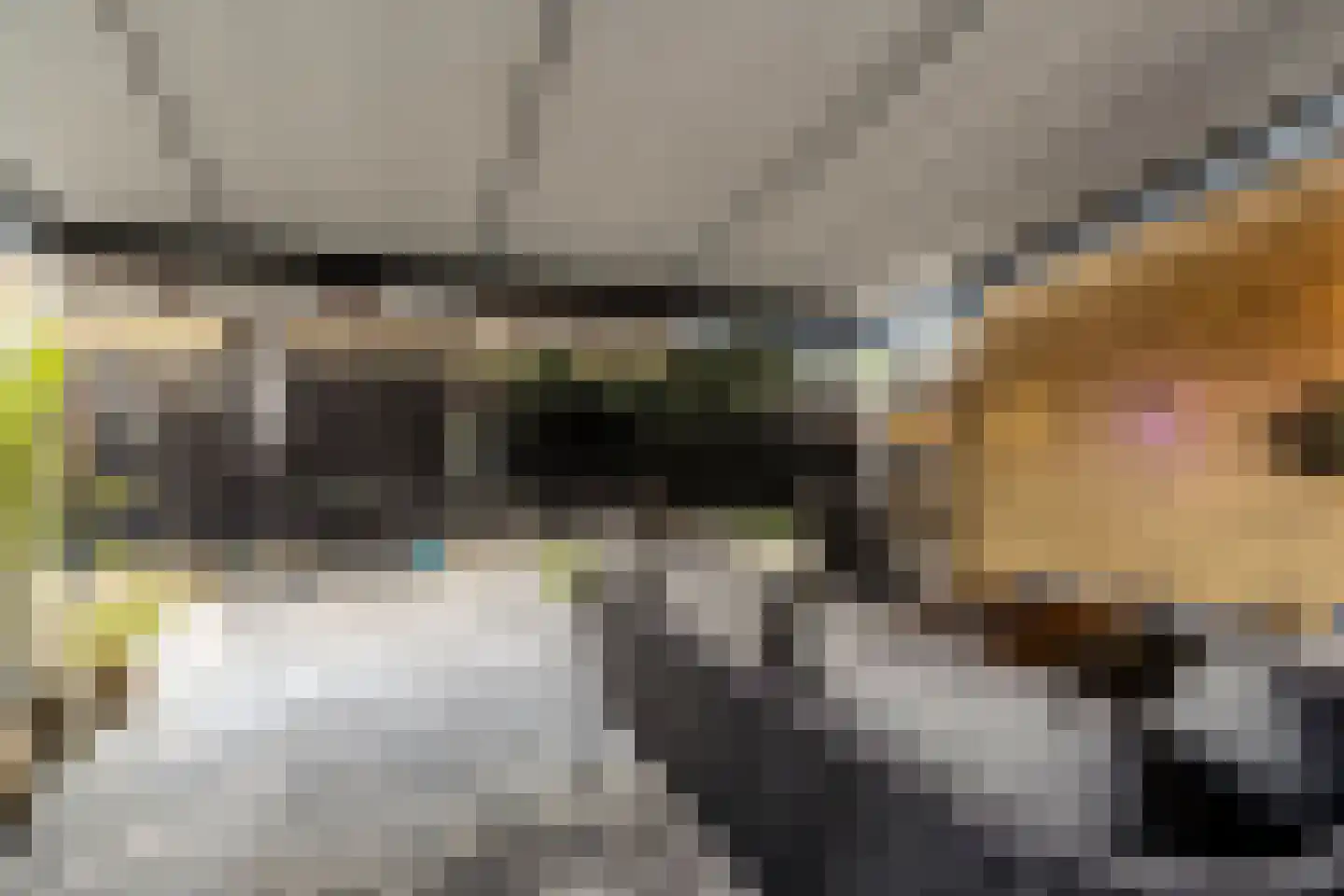 Botdragerstraat 13 Delfgauw thumbnail 19