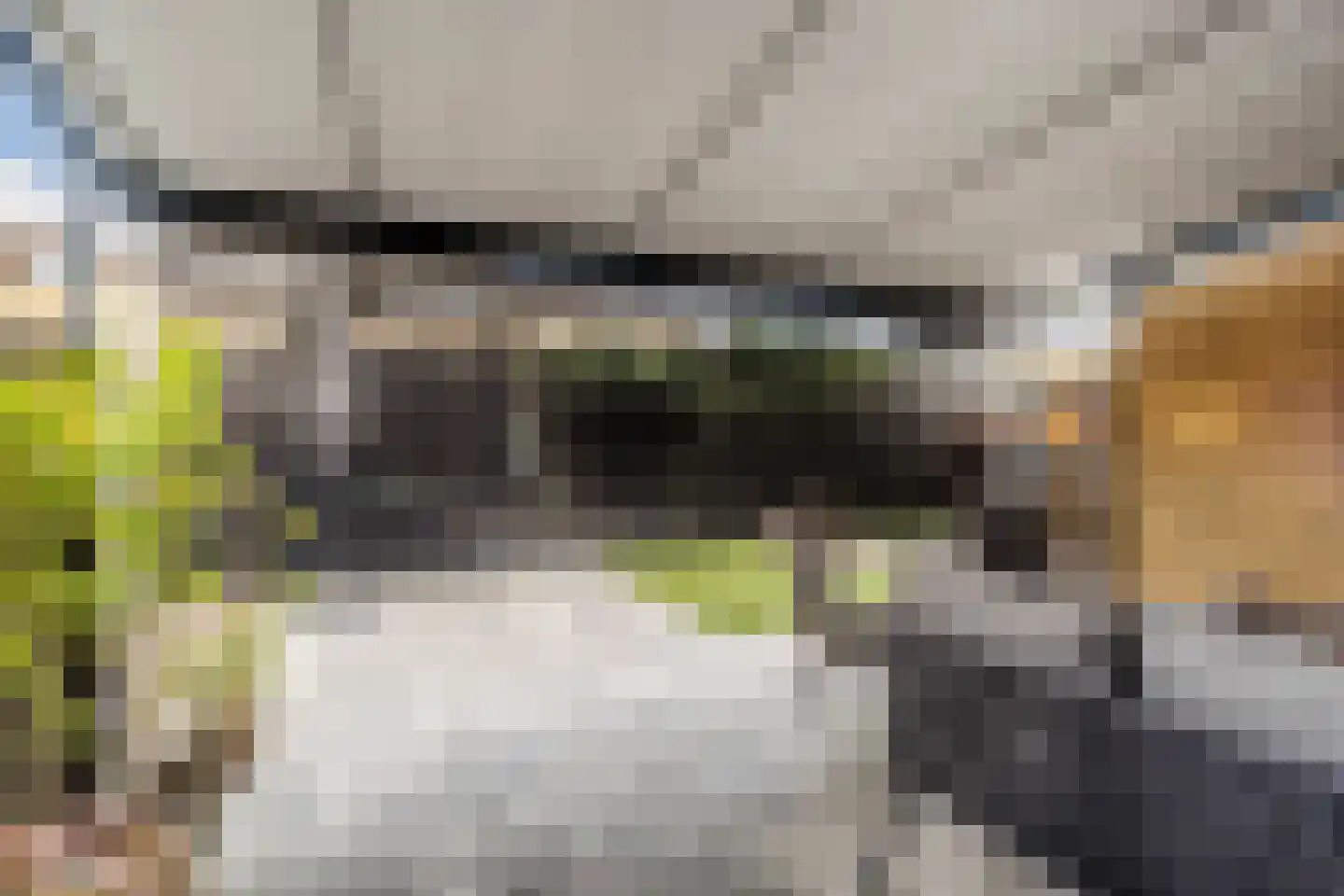 Botdragerstraat 13 Delfgauw thumbnail 20
