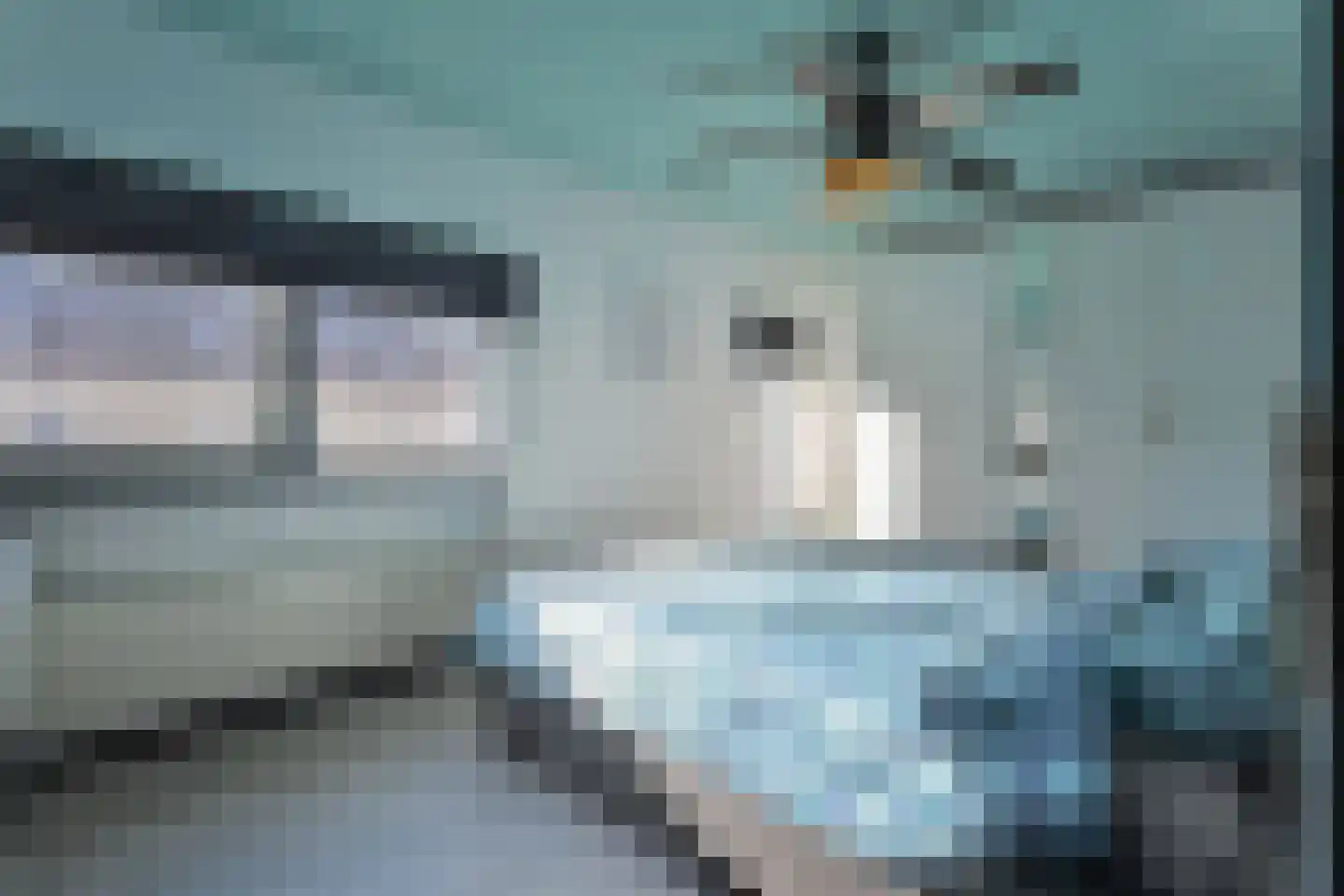 Botdragerstraat 13 Delfgauw thumbnail 20