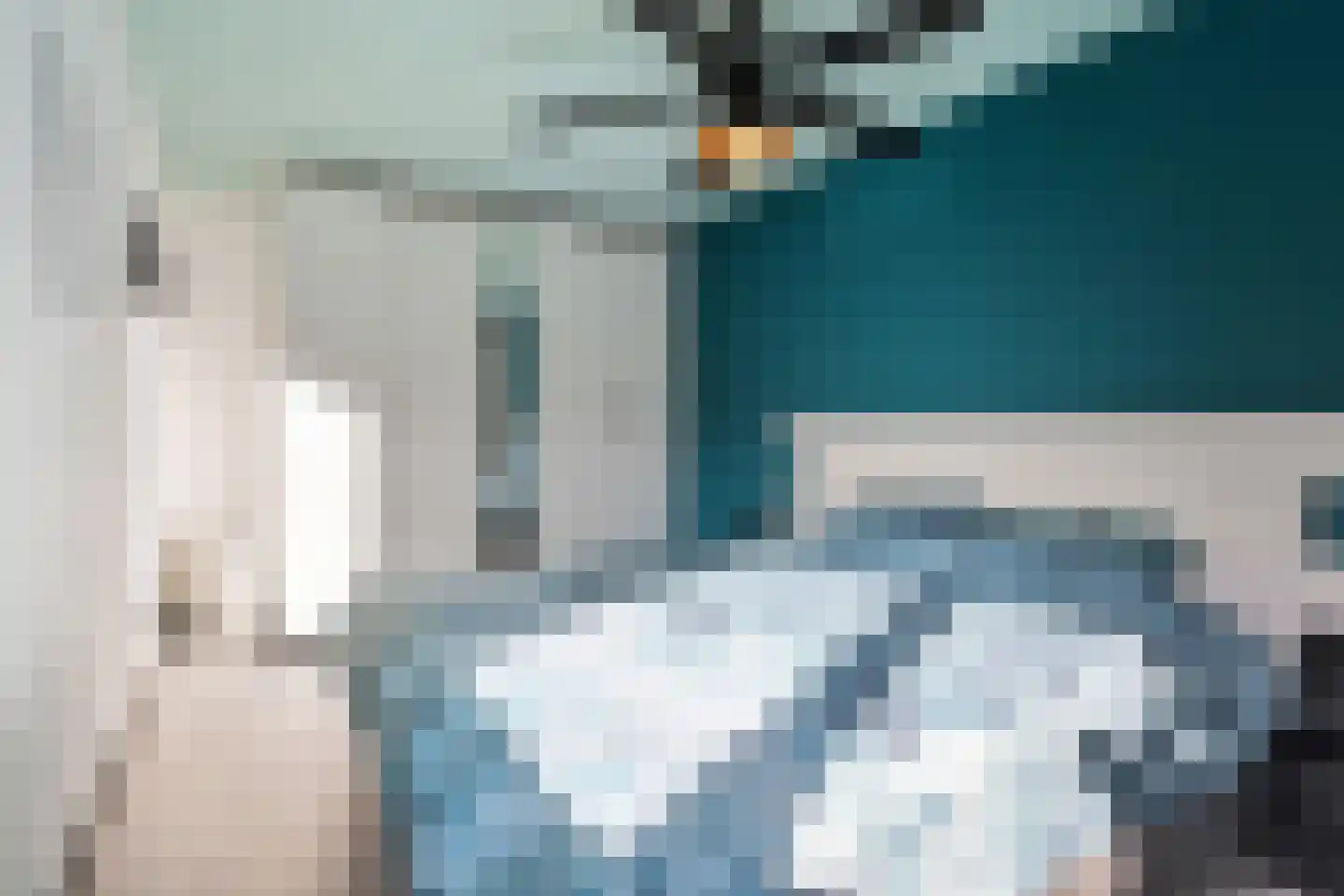 Botdragerstraat 13 Delfgauw thumbnail 21