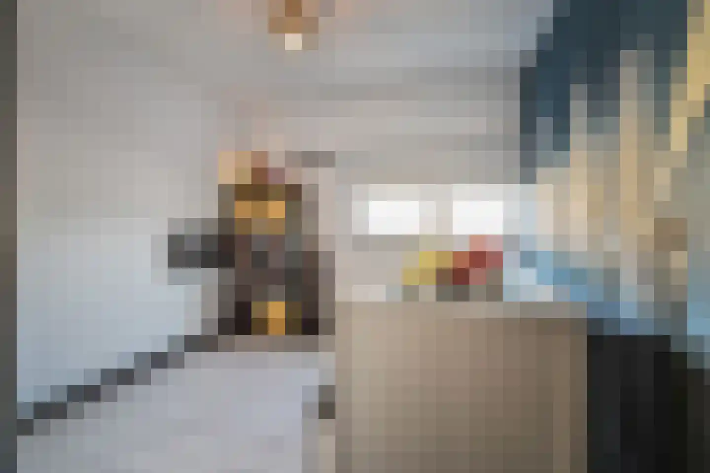 Botdragerstraat 13 Delfgauw thumbnail 25