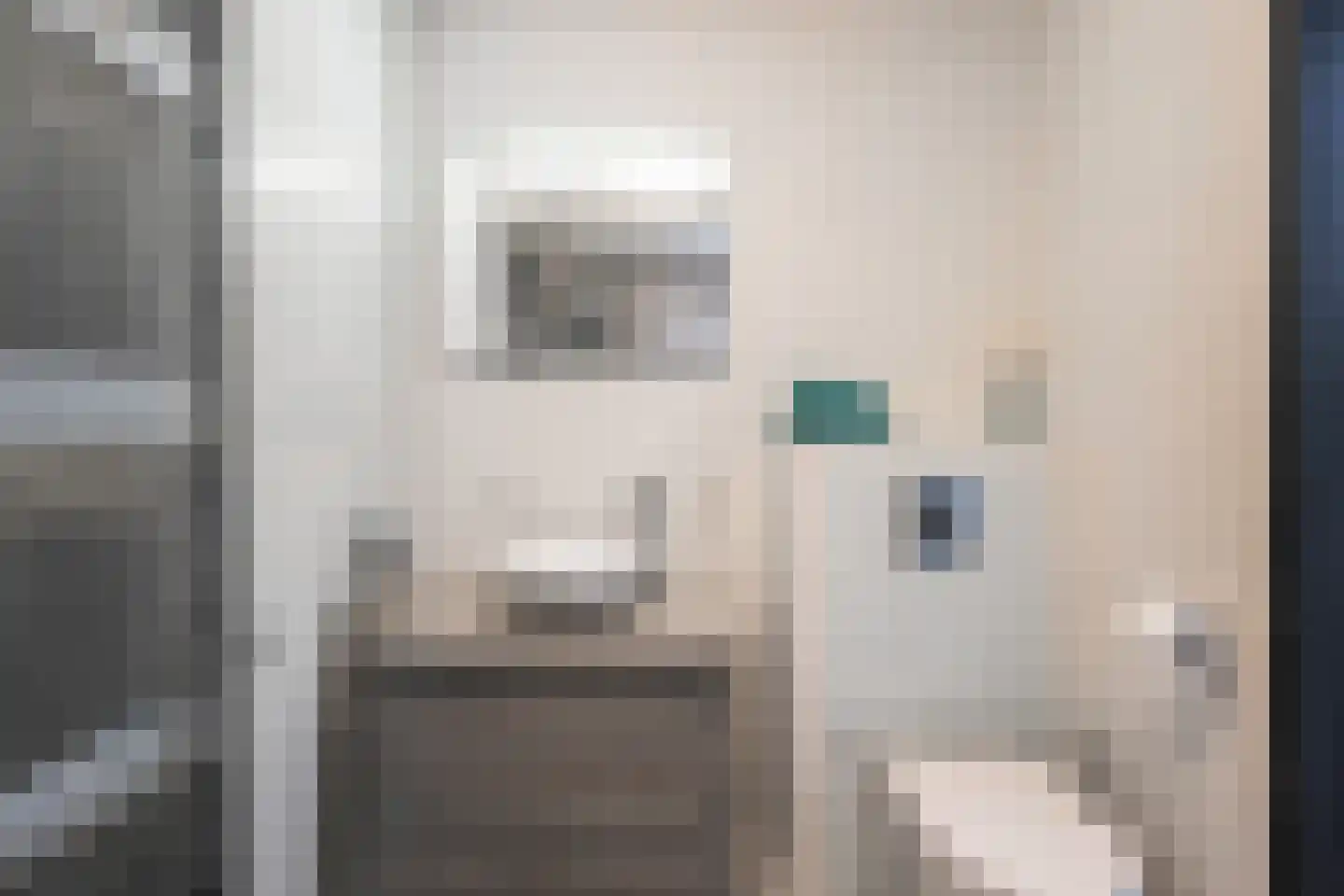 Botdragerstraat 13 Delfgauw thumbnail 29