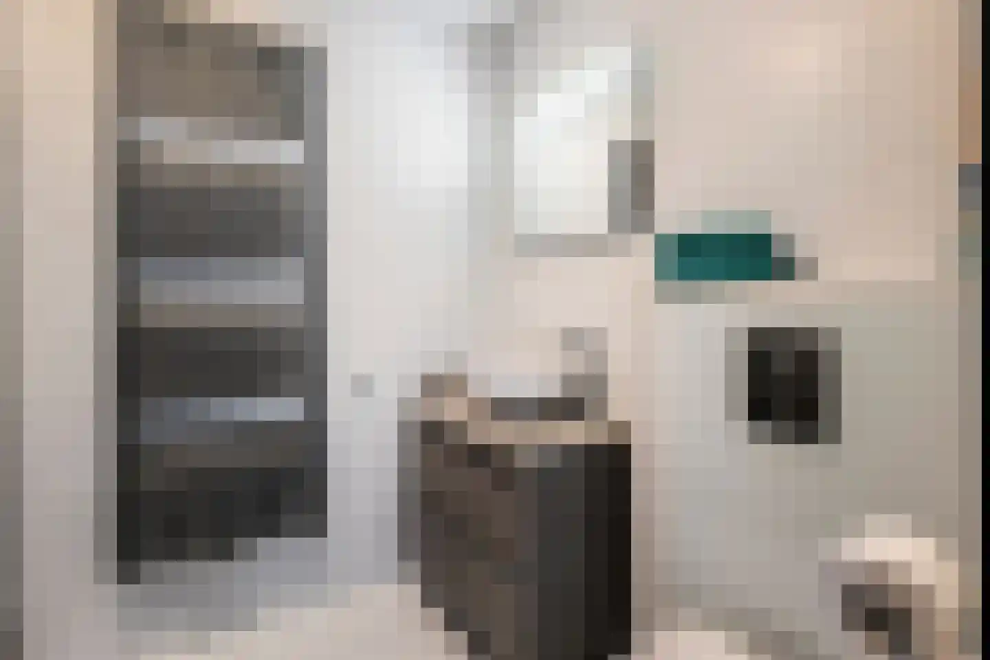 Botdragerstraat 13 Delfgauw thumbnail 30