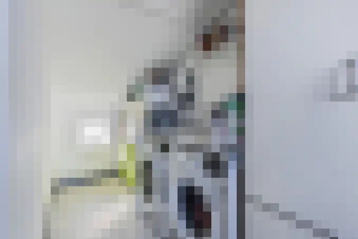Botdragerstraat 13 Delfgauw thumbnail 34