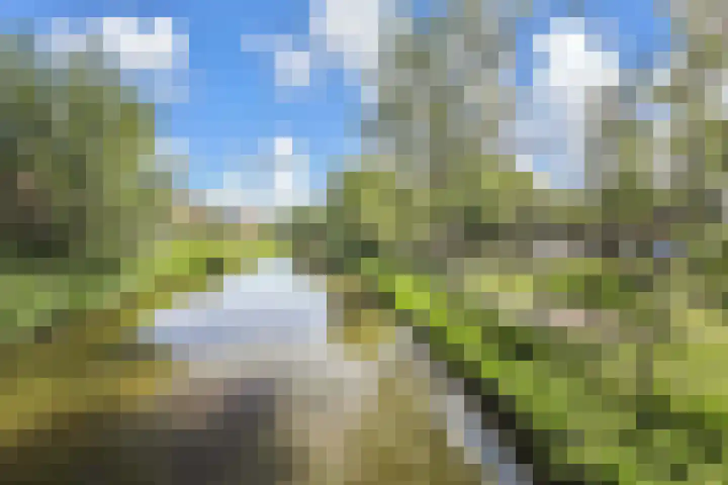 Botdragerstraat 13 Delfgauw thumbnail 40