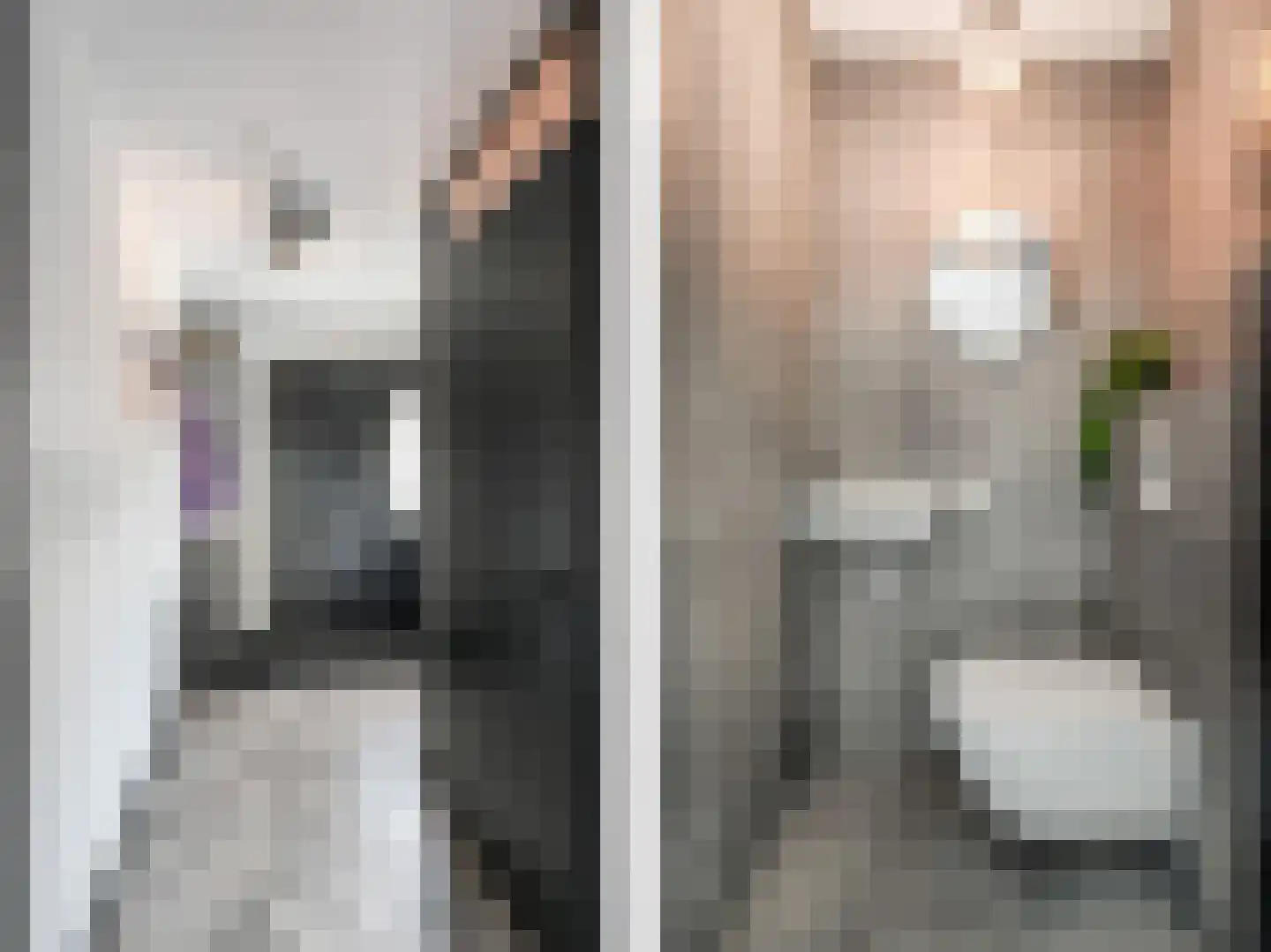 Botdragerstraat 13 Delfgauw thumbnail 8
