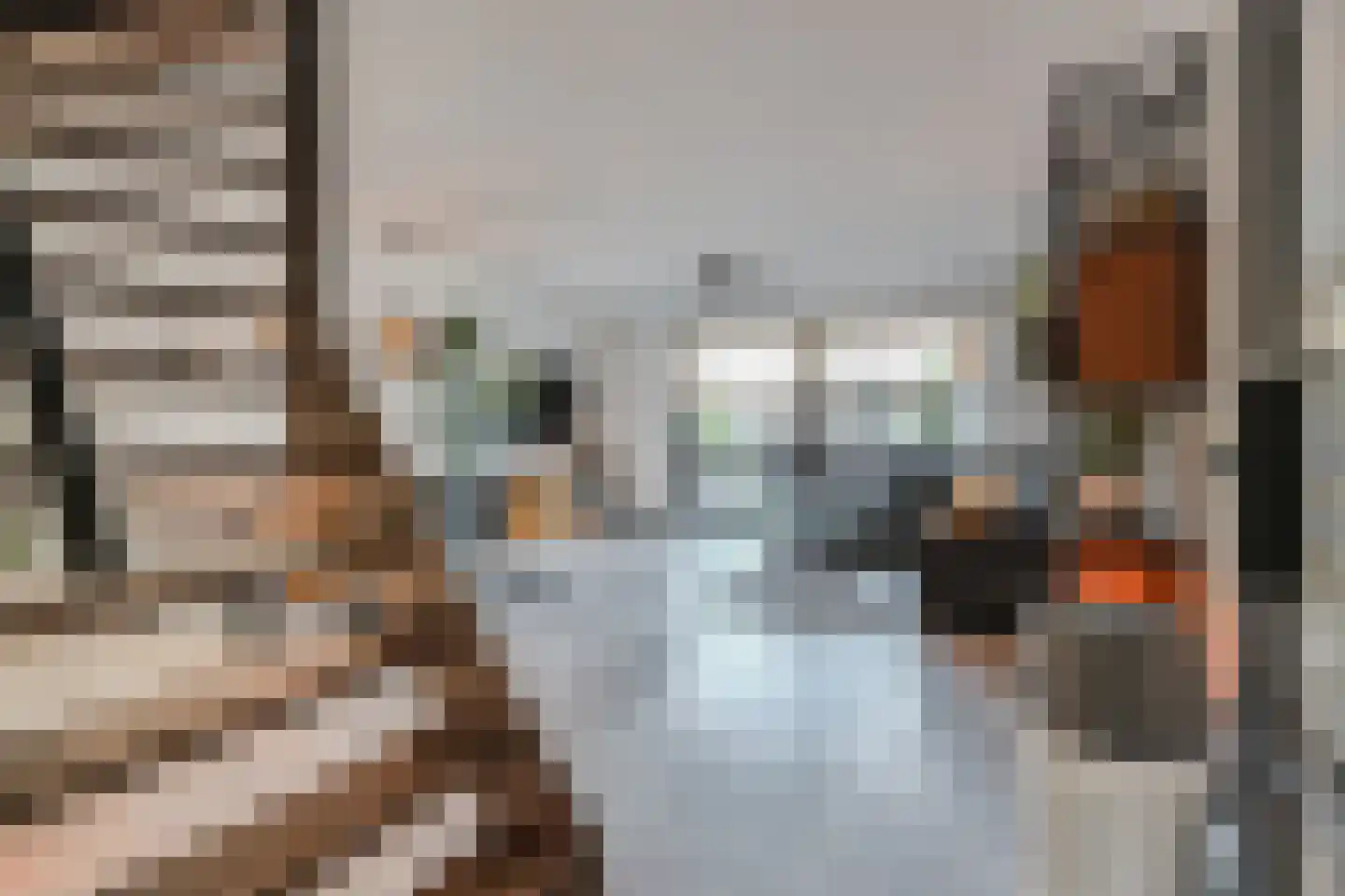 Botdragerstraat 13 Delfgauw thumbnail 9