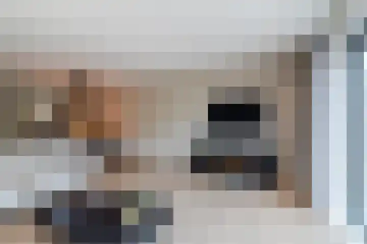 Botdragerstraat 5 Delfgauw thumbnail 12