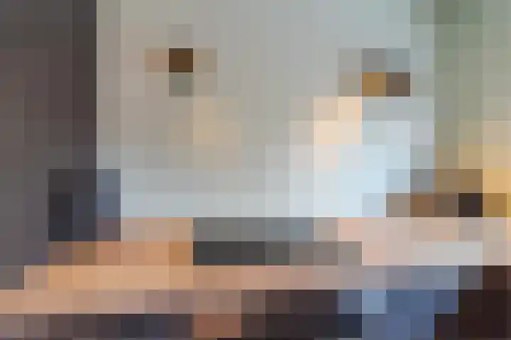 Botdragerstraat 5 Delfgauw thumbnail 17