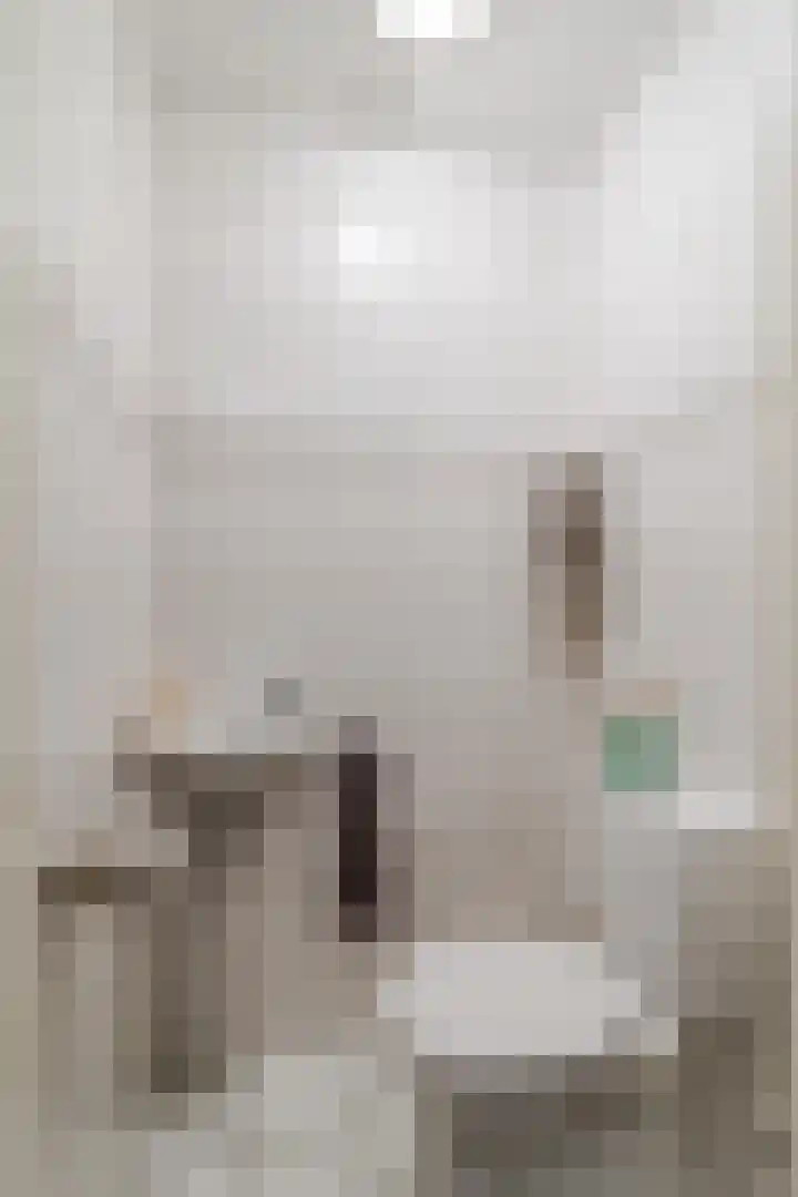 Botdragerstraat 5 Delfgauw thumbnail 22