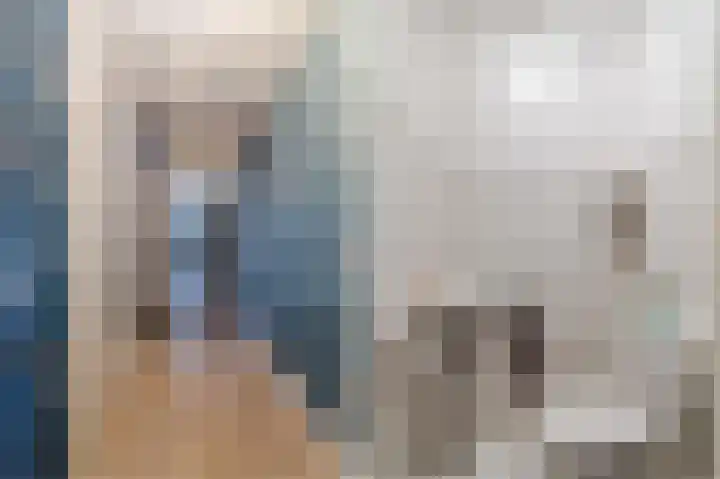 Botdragerstraat 5 Delfgauw thumbnail 23
