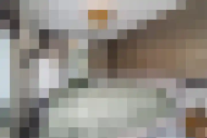 Botdragerstraat 5 Delfgauw thumbnail 25