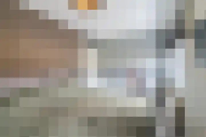 Botdragerstraat 5 Delfgauw thumbnail 26