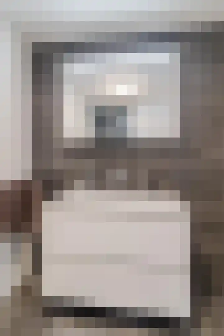 Botdragerstraat 5 Delfgauw thumbnail 32
