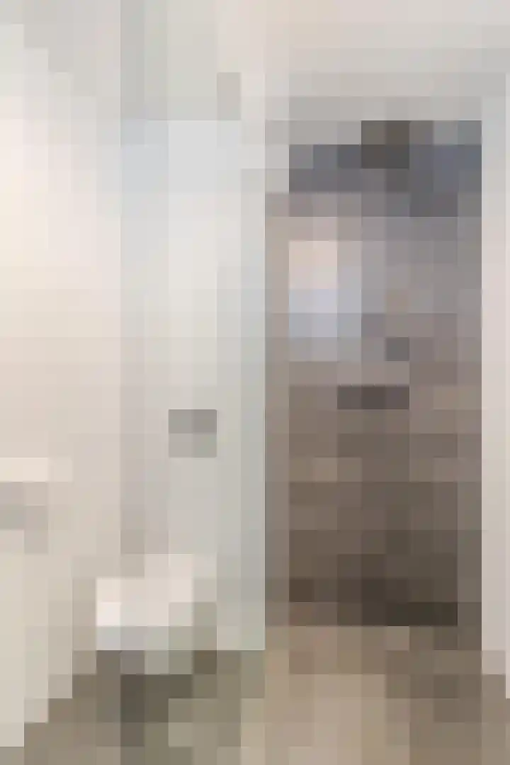 Botdragerstraat 5 Delfgauw thumbnail 33