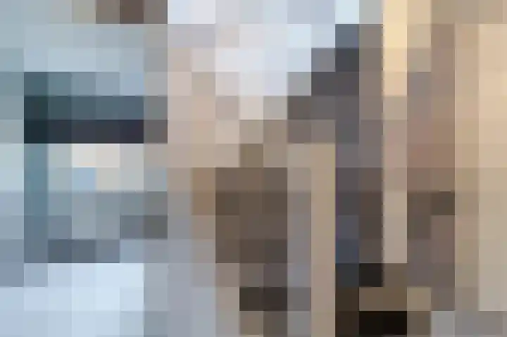 Botdragerstraat 5 Delfgauw thumbnail 36