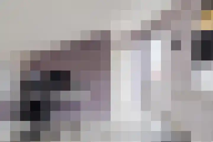 Botdragerstraat 5 Delfgauw thumbnail 36