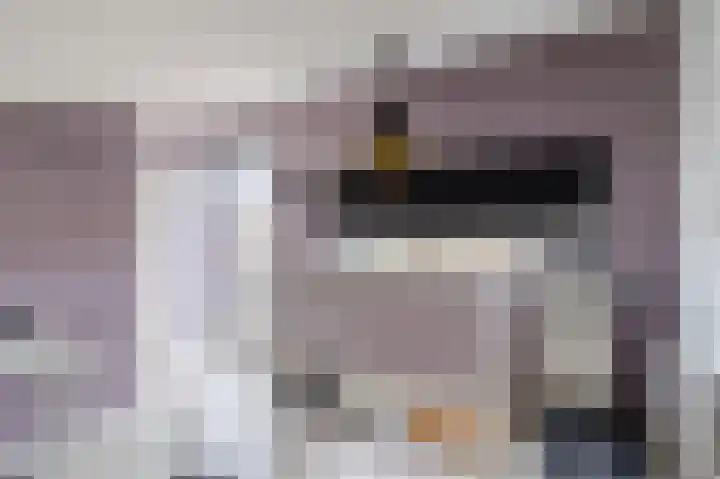 Botdragerstraat 5 Delfgauw thumbnail 37