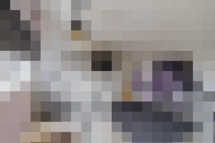 Botdragerstraat 5 Delfgauw thumbnail 38