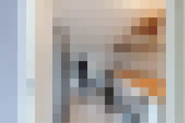 Botdragerstraat 5 Delfgauw thumbnail 39