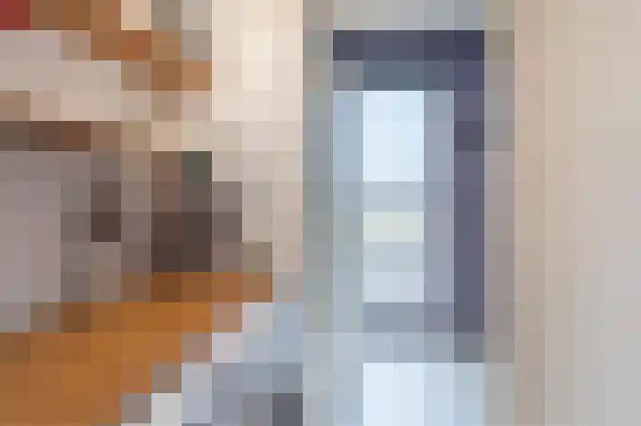 Botdragerstraat 5 Delfgauw thumbnail 40