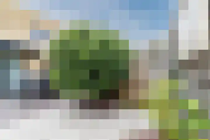 Botdragerstraat 5 Delfgauw thumbnail 47