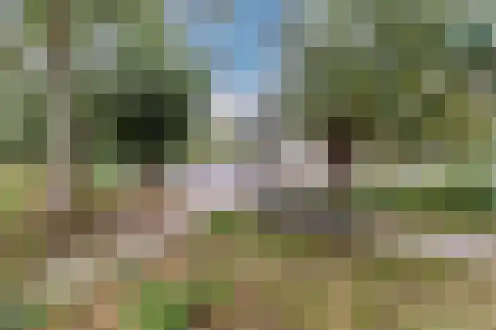 Botdragerstraat 5 Delfgauw thumbnail 50