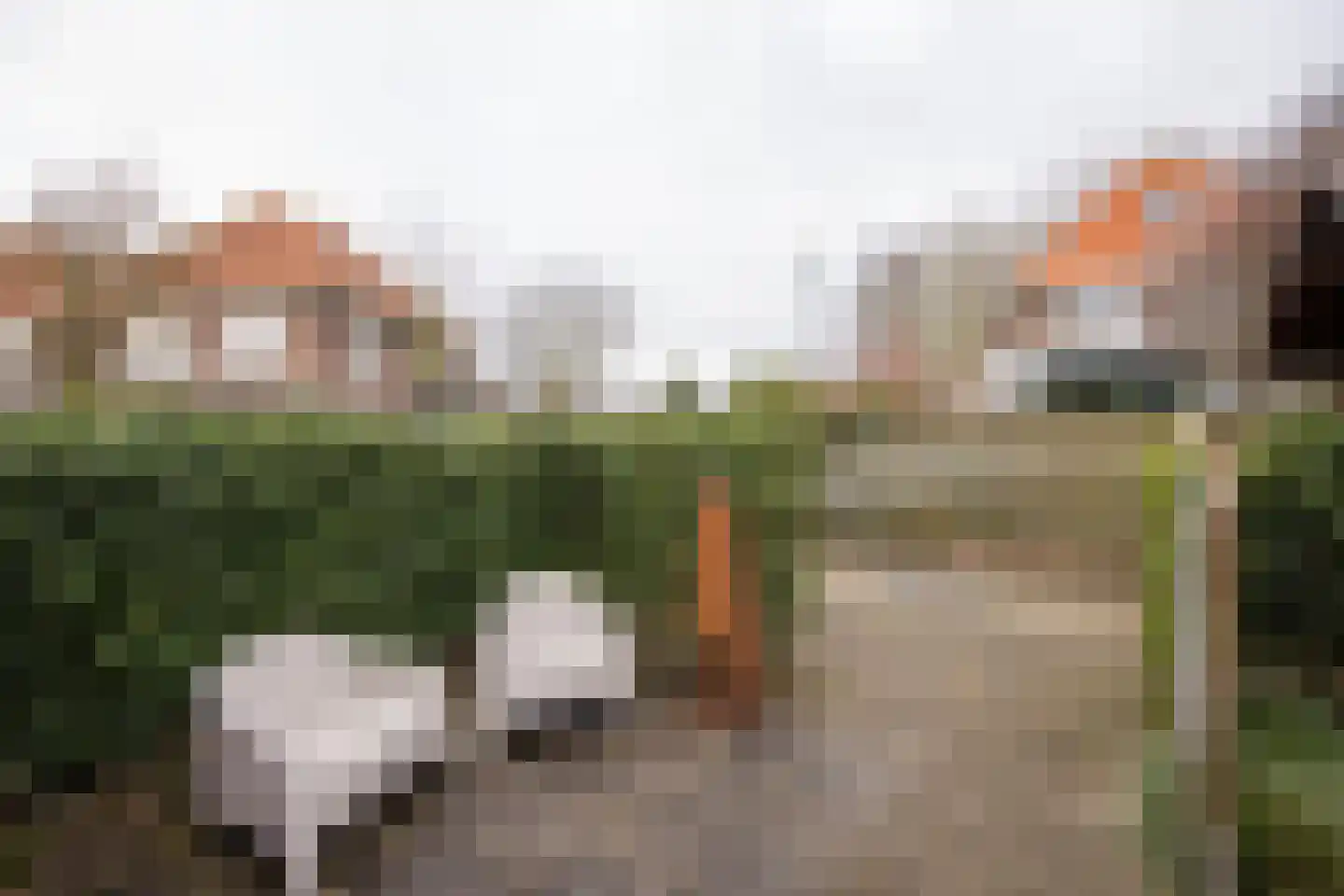 Bote à Bolswertstraat 2 Bolsward thumbnail 26