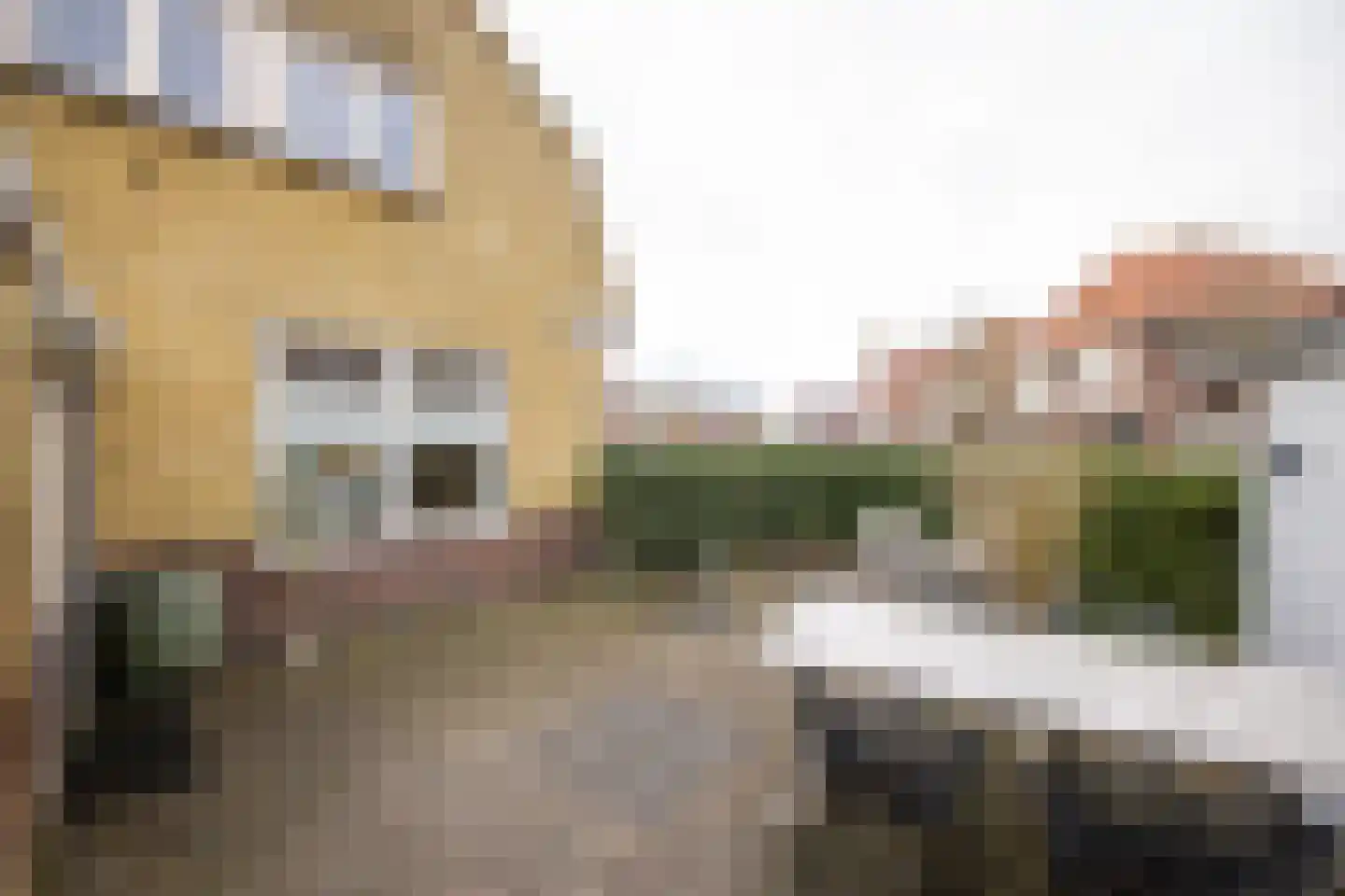 Bote à Bolswertstraat 2 Bolsward thumbnail 27