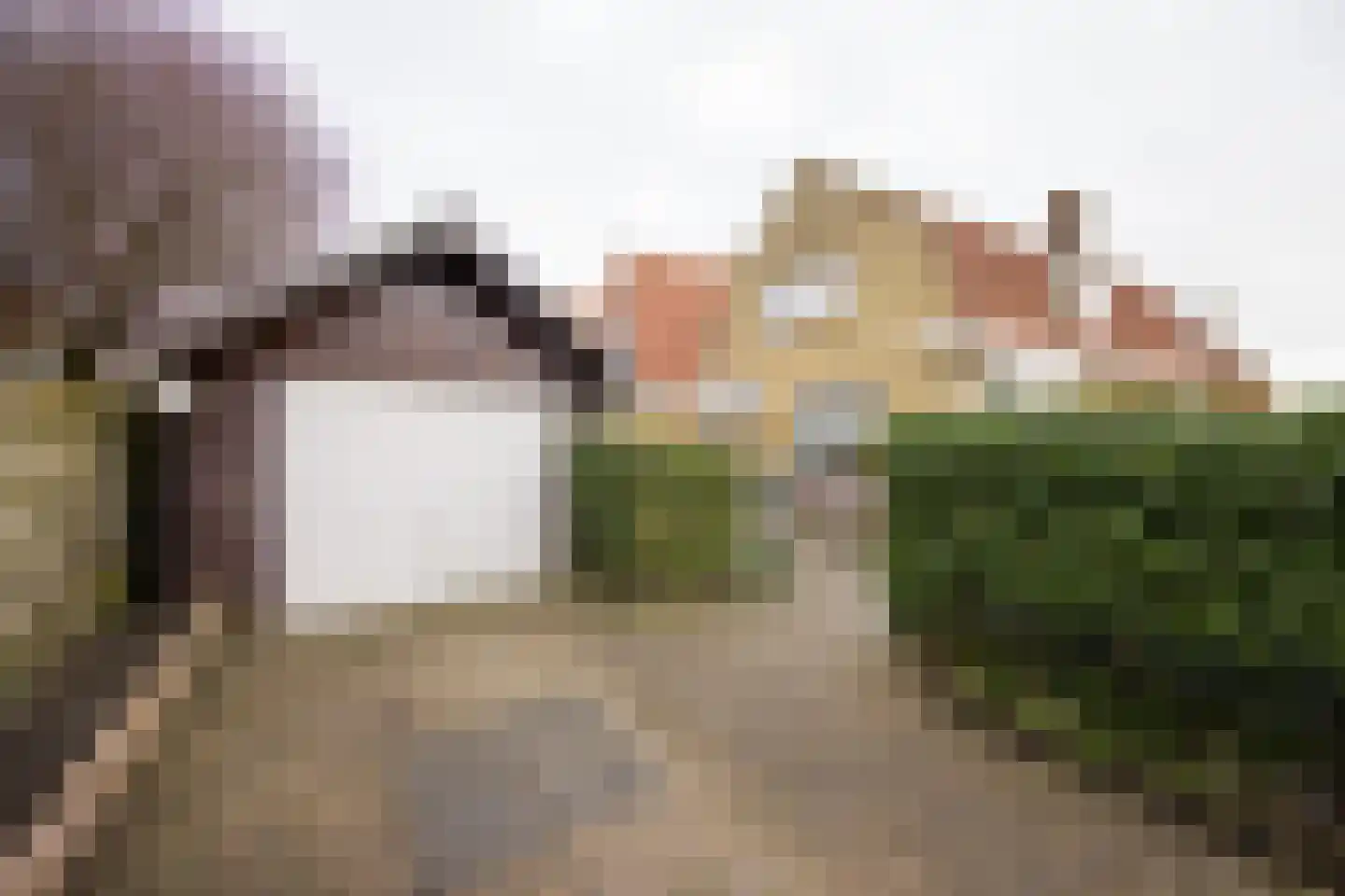 Bote à Bolswertstraat 2 Bolsward thumbnail 29